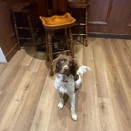 The Black Horse 호텔 세틀