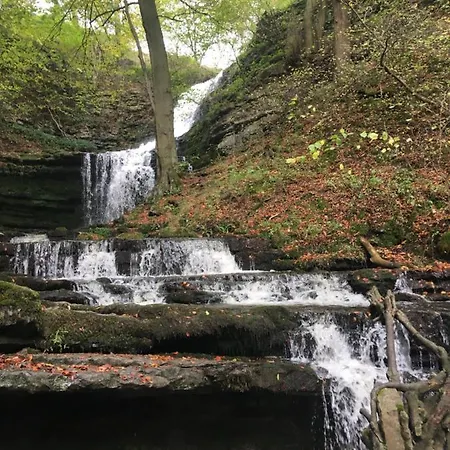 The Black Horse 호텔 *