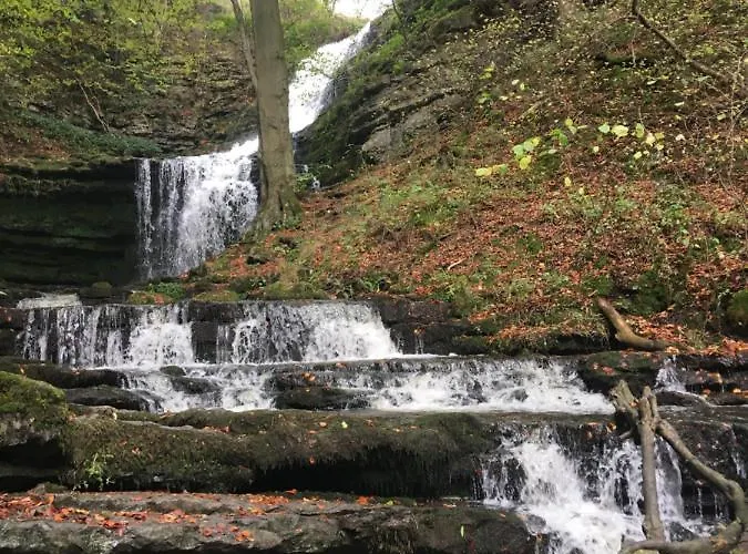 The Black Horse Hotel *